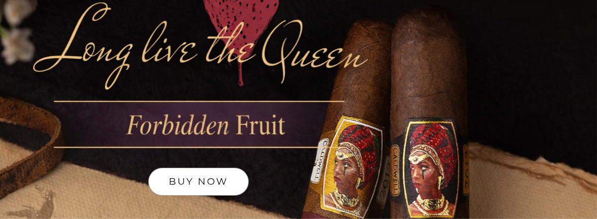 Untitled design-High-Quality (16)